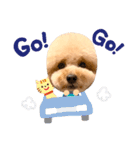みんなのポポ（個別スタンプ：20）