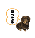 ルフィのまいにちスタンプ（個別スタンプ：14）