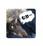 ルフィのまいにちスタンプ（個別スタンプ：26）