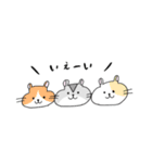 ハムスターまるのスタンプ（個別スタンプ：38）