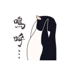 みっちり アデリーペンギン（個別スタンプ：13）