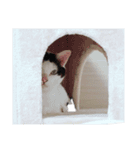 ルビーとパール（個別スタンプ：10）