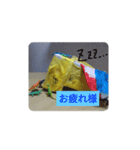 わし？スタンプ（個別スタンプ：4）