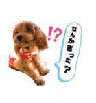 マロニースタンプ♡（個別スタンプ：3）