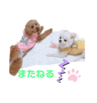 マロニースタンプ♡（個別スタンプ：4）