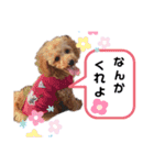 マロニースタンプ♡（個別スタンプ：5）