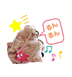 マロニースタンプ♡（個別スタンプ：13）