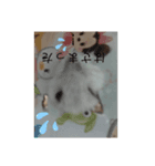 ハルマメ（個別スタンプ：6）