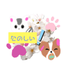 ハルマメ（個別スタンプ：8）