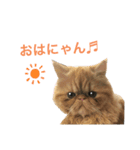 エルとムタのスタンプ（個別スタンプ：1）