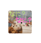 もっと！ラブ＆コロン（個別スタンプ：13）