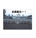 迎賓館前ワンだーらんど♪40（個別スタンプ：13）