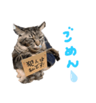 チヂミ 笑 天 2（個別スタンプ：3）