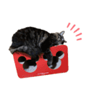 チヂミ 笑 天 2（個別スタンプ：14）