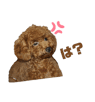 チヂミ 笑 天 2（個別スタンプ：24）