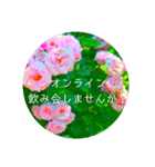 flower3♡コロナに負けないRose薔薇（個別スタンプ：1）