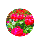 flower3♡コロナに負けないRose薔薇（個別スタンプ：3）
