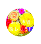 flower3♡コロナに負けないRose薔薇（個別スタンプ：4）