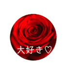 flower3♡コロナに負けないRose薔薇（個別スタンプ：8）
