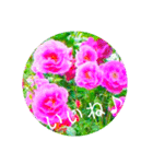 flower3♡コロナに負けないRose薔薇（個別スタンプ：9）