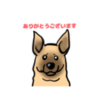 しんどーさん家のスタンプ（個別スタンプ：17）