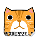 オレンジ猫のメッセージ(JP)（個別スタンプ：16）