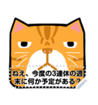 オレンジ猫のメッセージ(JP)（個別スタンプ：21）