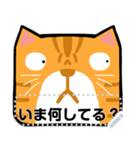 オレンジ猫のメッセージ(JP)（個別スタンプ：22）
