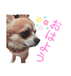諭吉くんスタンプ（個別スタンプ：4）