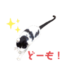 フクちゃんとにゃあちゃんのスタンプ（個別スタンプ：3）