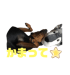 くっきーだよ（個別スタンプ：6）