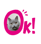 にゃーすけ男（個別スタンプ：12）
