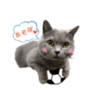 にゃーすけ男（個別スタンプ：21）