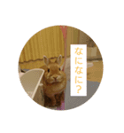 うさぎのもかちゃん2（個別スタンプ：3）