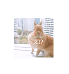 うさぎのもかちゃん2（個別スタンプ：5）