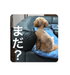 ねむいちょこ（個別スタンプ：3）