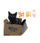 べけのゆかいな仲間たち（個別スタンプ：3）
