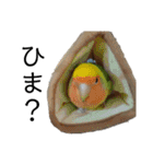 べけのゆかいな仲間たち（個別スタンプ：25）
