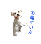 まるまるまる！（個別スタンプ：10）