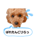 私モフ子（個別スタンプ：2）