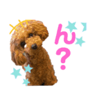 私モフ子（個別スタンプ：4）