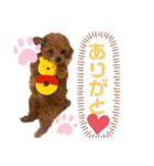 私モフ子（個別スタンプ：7）