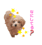 私モフ子（個別スタンプ：10）