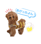 私モフ子（個別スタンプ：11）