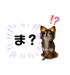 私モフ子（個別スタンプ：13）