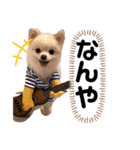 私モフ子（個別スタンプ：15）