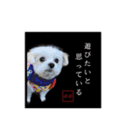 ポポロン（個別スタンプ：5）