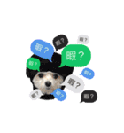 ポポロン（個別スタンプ：10）