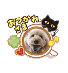 サンママの家族（個別スタンプ：1）