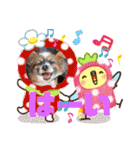 サンママの家族（個別スタンプ：4）